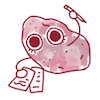 k_n: me, a Potato, (Default)