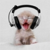 kiaa: (soundkitteh)