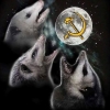 sabotabby: (possums)