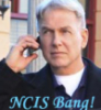 ncis_bigbang: Gibbs Bang (Gibbs Bang)