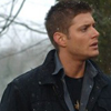 tarotgal: (SPN- Dean Snow)