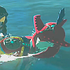 in_sidon_we_trust: (looking back while swimming)