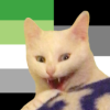tildytwo: a white cat with its mouth open as if smiling maniacally, imposed over a background of the aro/ace flags (Default)