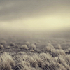 oocsurge: (pic#12824961)