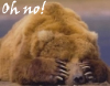 elayna: (bear Oh No!)