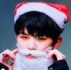 hwarium: (santa woozi)