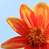jenab: Made by <USER name="misbegotten"> (Default)
