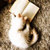 yuuago: A white cat reading a book (Cat - Reading)