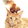 ellenmillion: A flaming squirrel on an unamused cat. (Seltzer and Lucy)