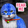 demeter918: blue doraemon cat (Demeter - Doraemon Fear Me, fear me cat)