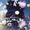 adore: (princess of cups)