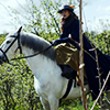 mustbeawitch: (I'm on a horse)