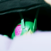 hophophopper: Hopper1 being stuffed in Hotarou's backpack. Or hiding there! (Hidden)