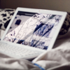 banners: (pic#176113)