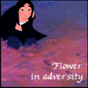 lightbird: (Mulan: Flower in Adversity)