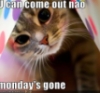 bluflamingo: cat peering out saying 'u can come out now, monday's gon' (Monday's gone)