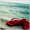beachlass: red flipflops by water (red flipflops, sandals)