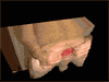 tetra: (3D GOATSE)