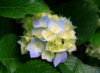 author_by_night: (I really need a new userpic)