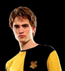 alt_cedric: Cedric in black and yellow (hufflepuff)