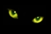 midorisakura: Cat eyes (Default)