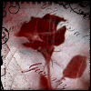 rabies: (Rose)