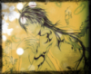 beille: (takaba)