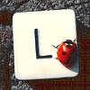 sevillana: (animals ♥ L is for...)