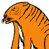 jecook: (Default)