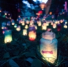 john: Various candles, in multicoloured jars, under trees in the evening (Default)