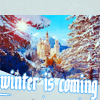 chacusha: (house stark)