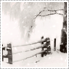 xanthefic: (xmas silent snowfall)