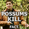 yourlibrarian: PossumsKill-carnageincminor (SPN-PossumsKill-carnageincminor)