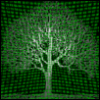 vlion: (tree)