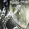 tookthewheel: (Through the looking glass)