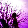 ext_16618: ([Psych] Four...hundred stars.)